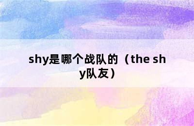 shy是哪个战队的（the shy队友）